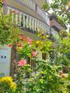 Хостелы Sunny Hostel Будва-7